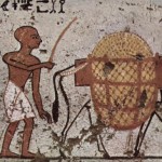 La economía del antiguo Egipto se basaba en la agricultura que dependía de los cultivos de las tierras inundadas por el río Nilo.