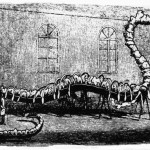 Una de las muchas ilustraciones representando al Hydrarchos de Koch publicadas a mediados del s. XIX.