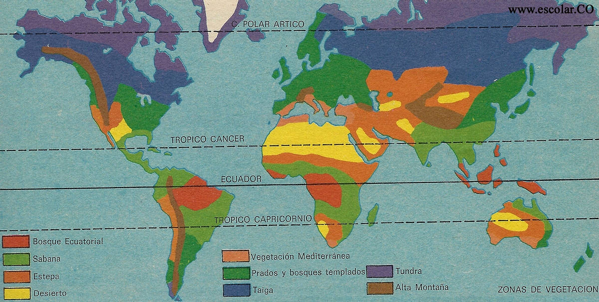 Las zonas bioclimáticas de Tierra | Revista CAOS