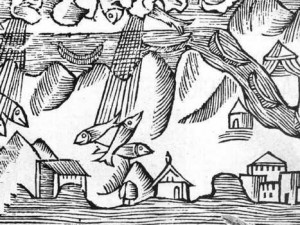 Lluvia de peces, grabado de O. Magnus, 1555.