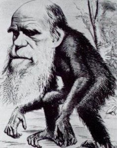 Caricatura sobre Charles Darwin en la revista Hornet donde él es representado con características propias de un primate, a manera de burla por su teoría evolutiva.