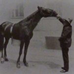 Wilhelm von Osten era un profesor de matemáticas jubilado y entrenador de caballos aficionado, algo místico y adicto a la frenología.